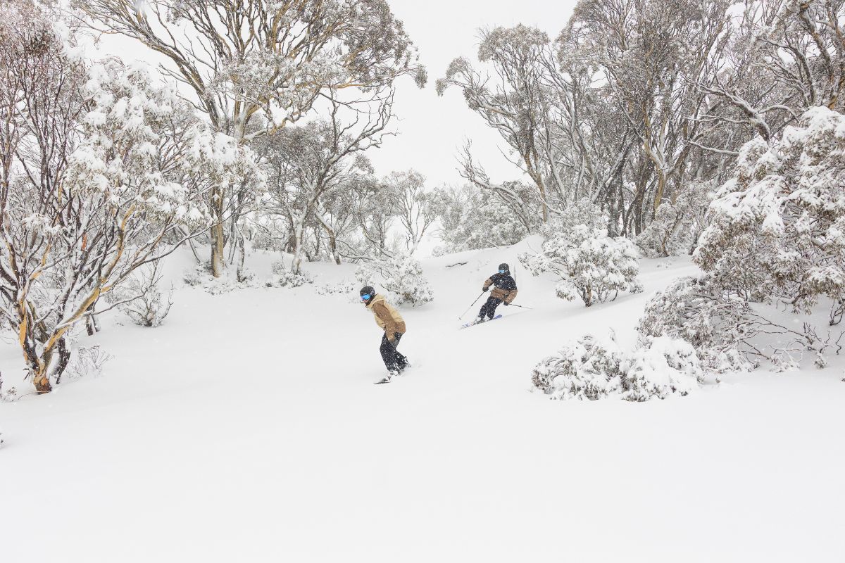 Perisher skier snowboarder in Powder