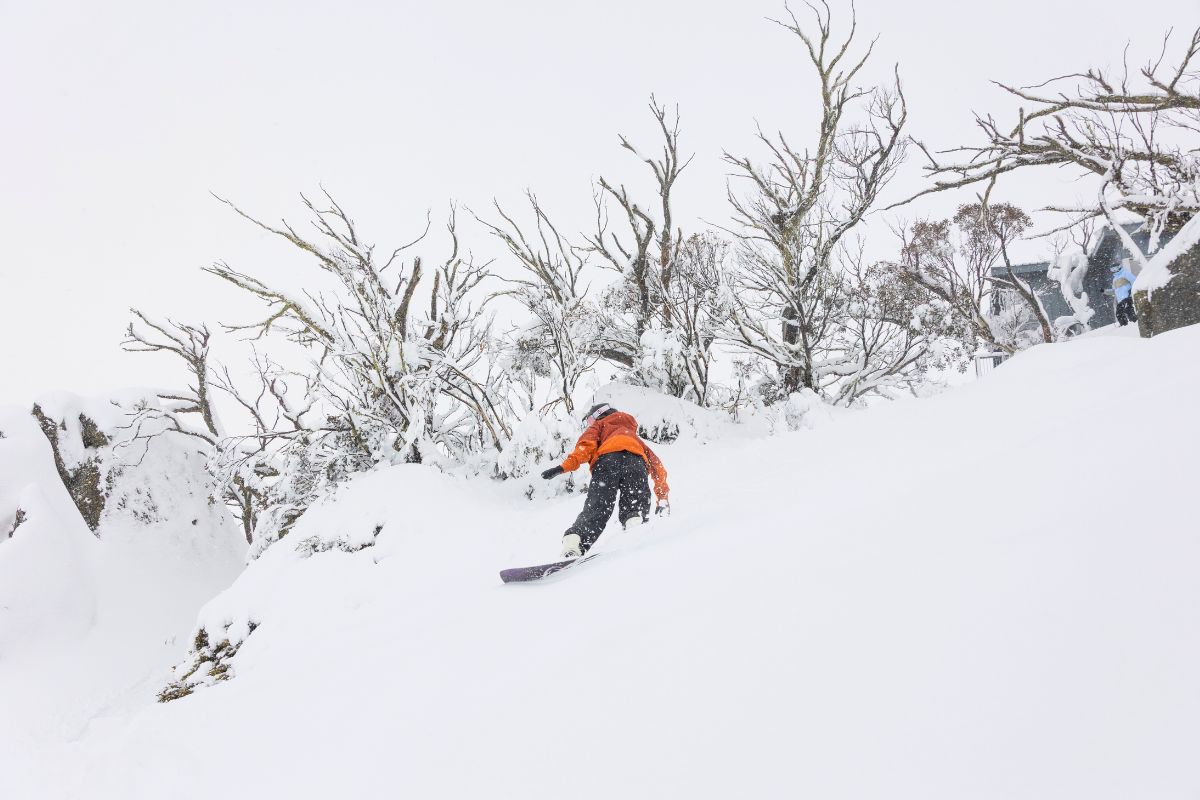 Perisher snowboarder in Powder