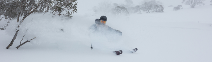 Skier on powder day