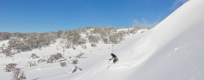 Skier at Perisher