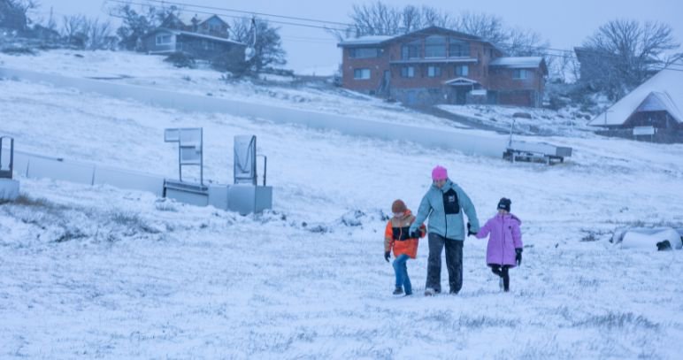 artist impression mt p 6