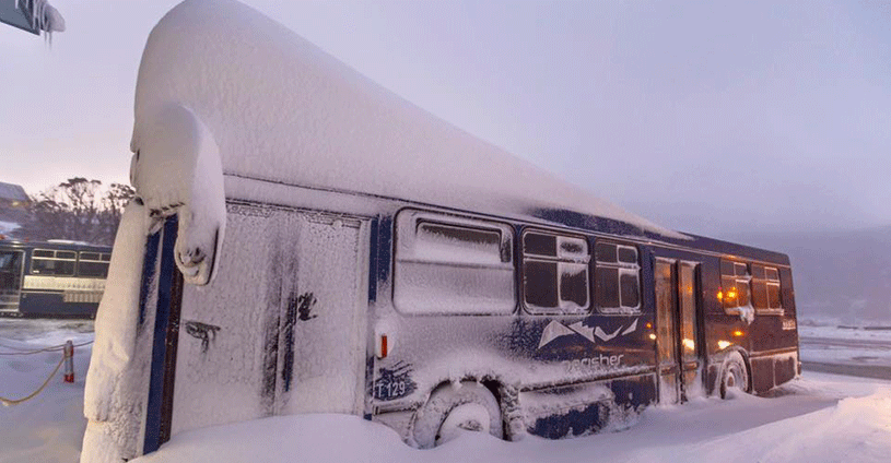 Perisher Snowfall Buz July