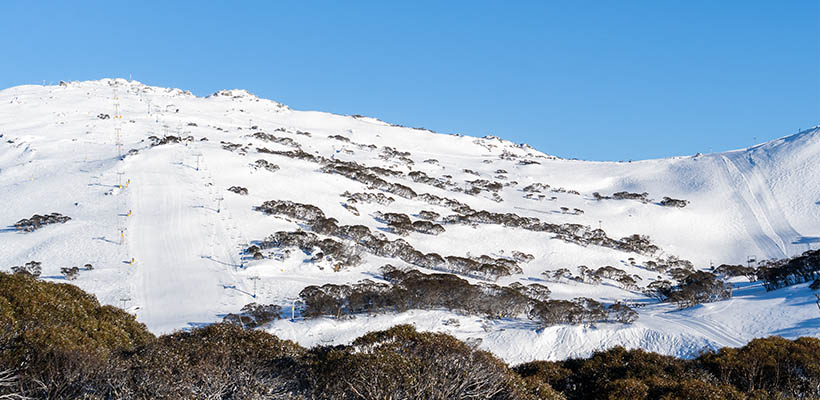 AUG31 Perisher Internal