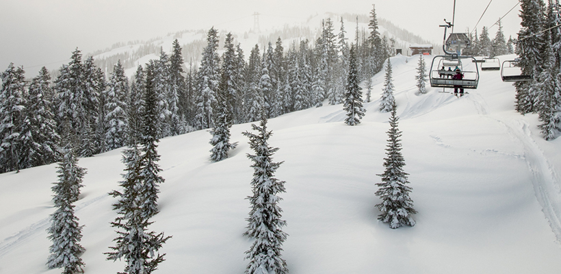 Chair WB Pow Day