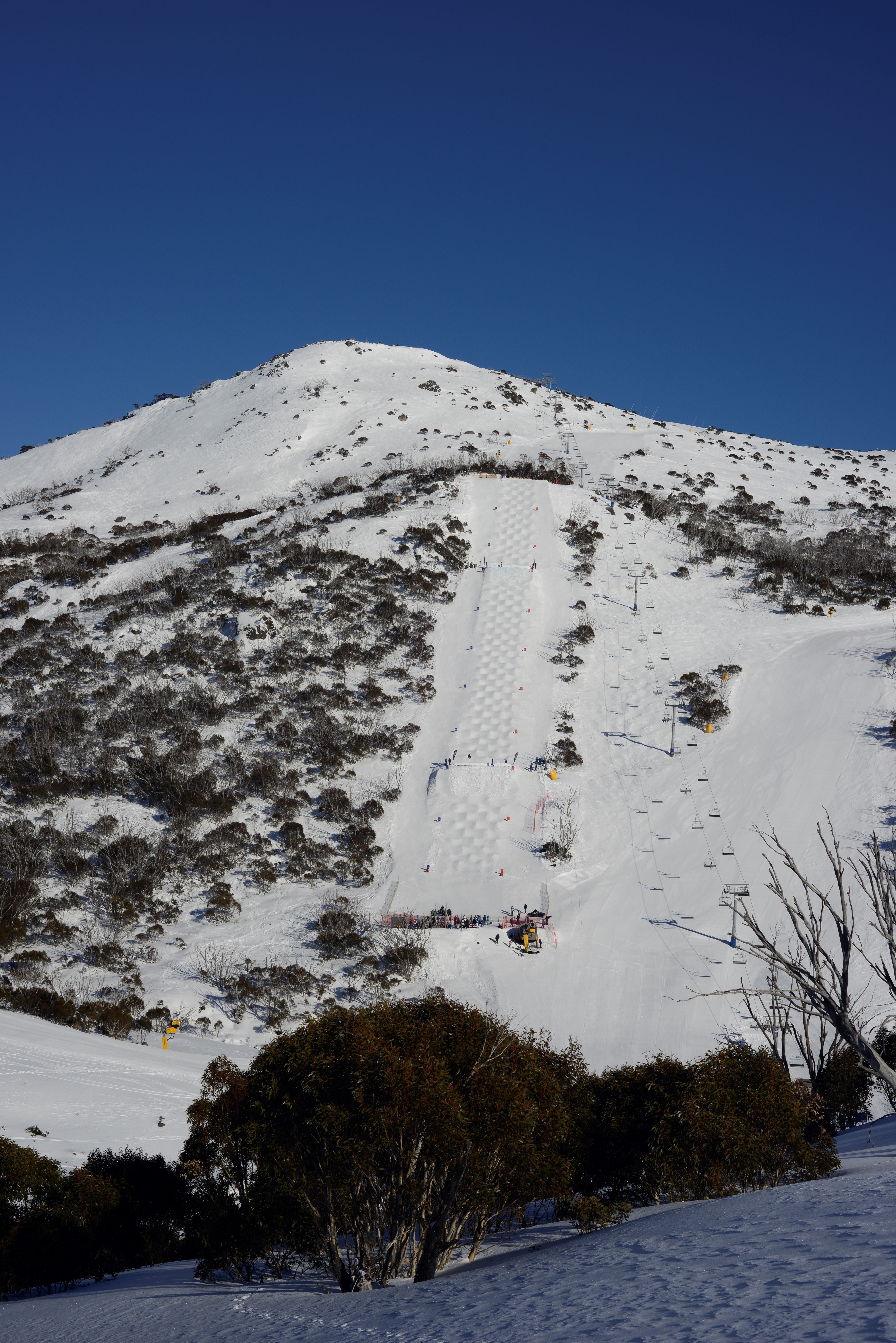 Toppas_Dream_mogul_course_small.jpg