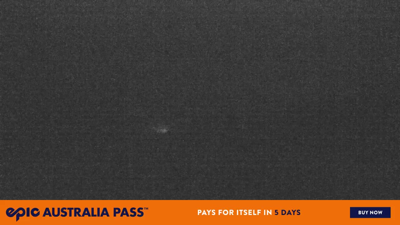 View full-screen Blue Cow Live