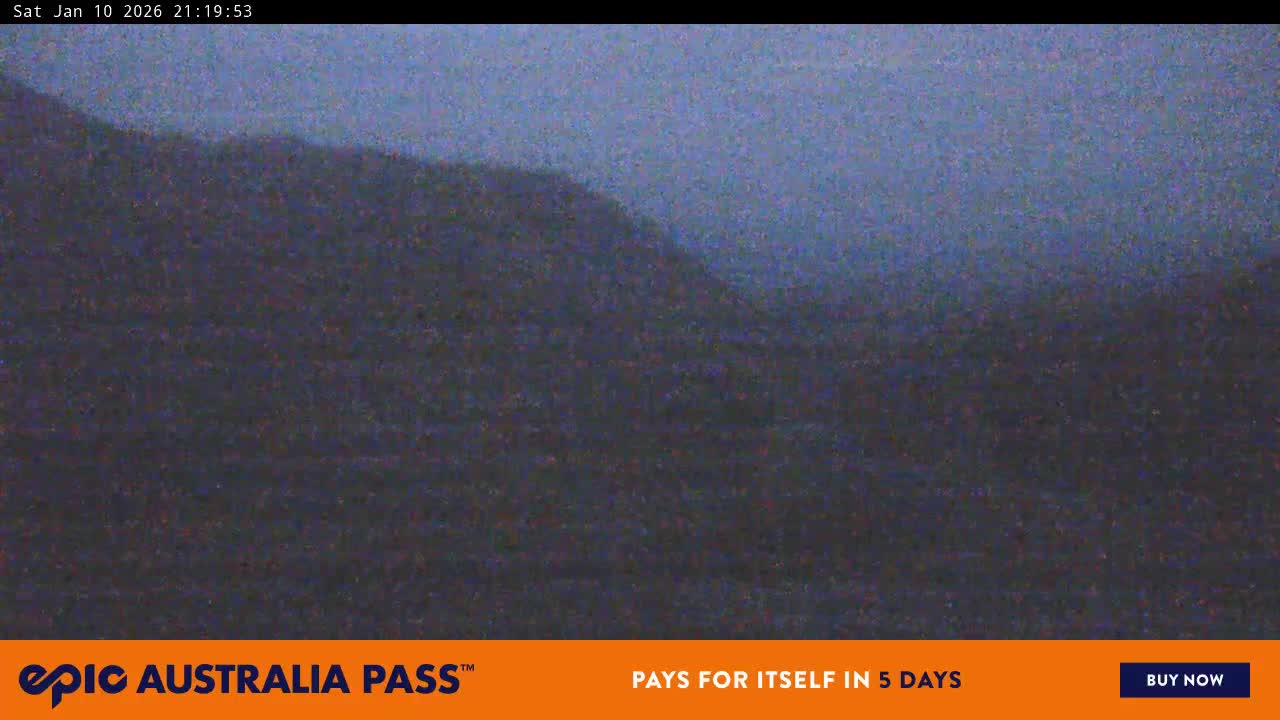 View full-screen Blue Cow Live