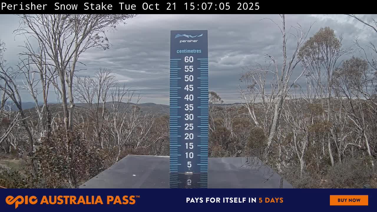 View full-screen Snow Stake Live Cam