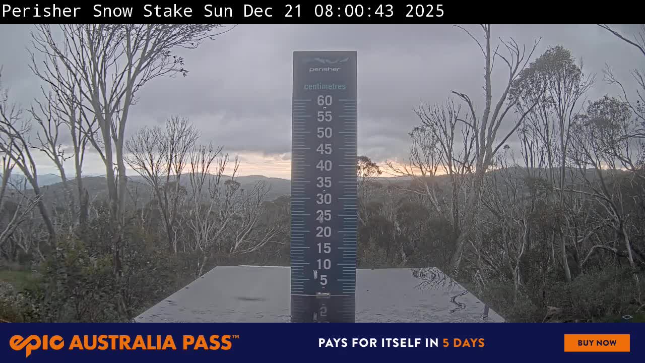 View full-screen Snow Stake Live Cam