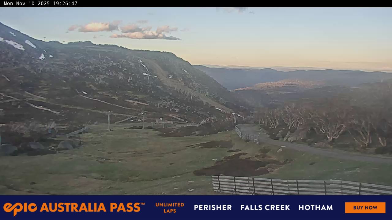 View full-screen Blue Cow