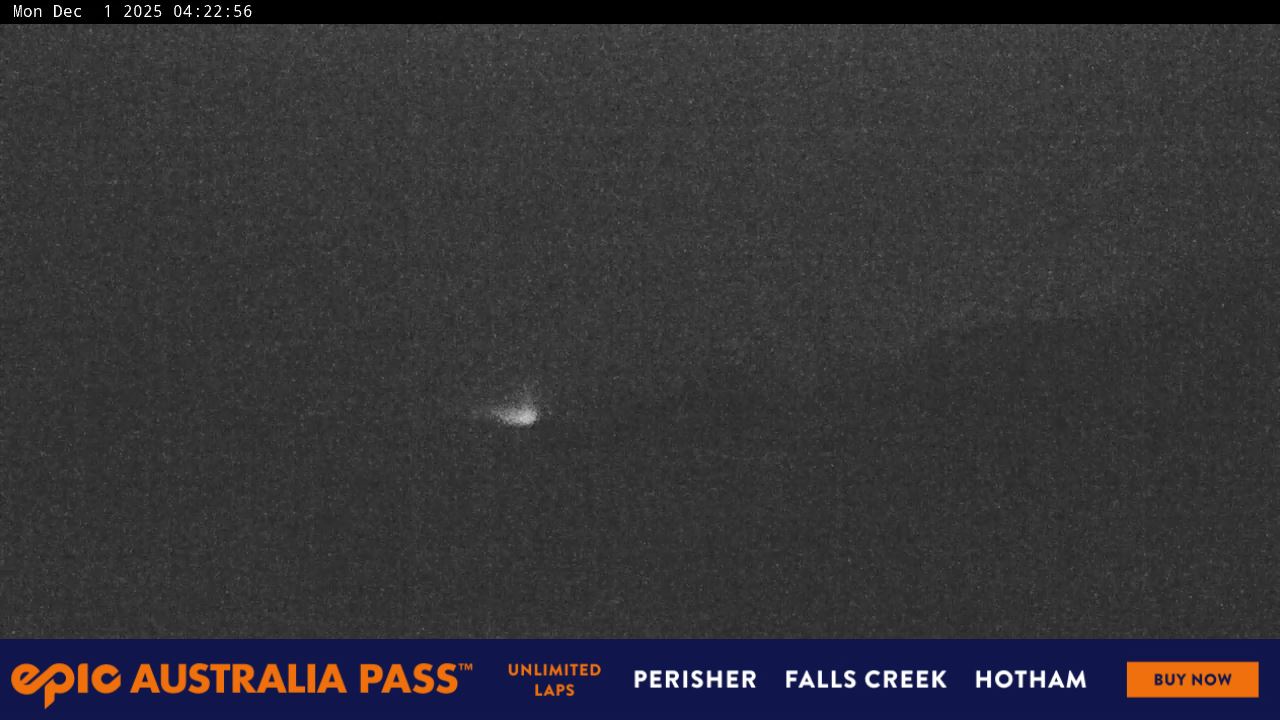 View full-screen Blue Cow