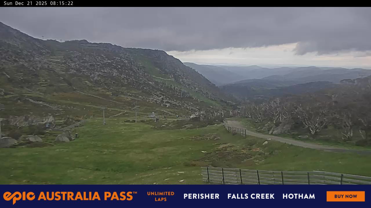 View full-screen Blue Cow