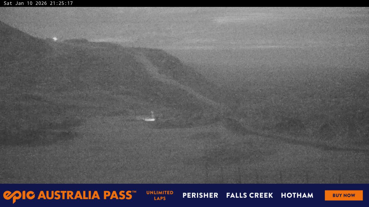 View full-screen Blue Cow