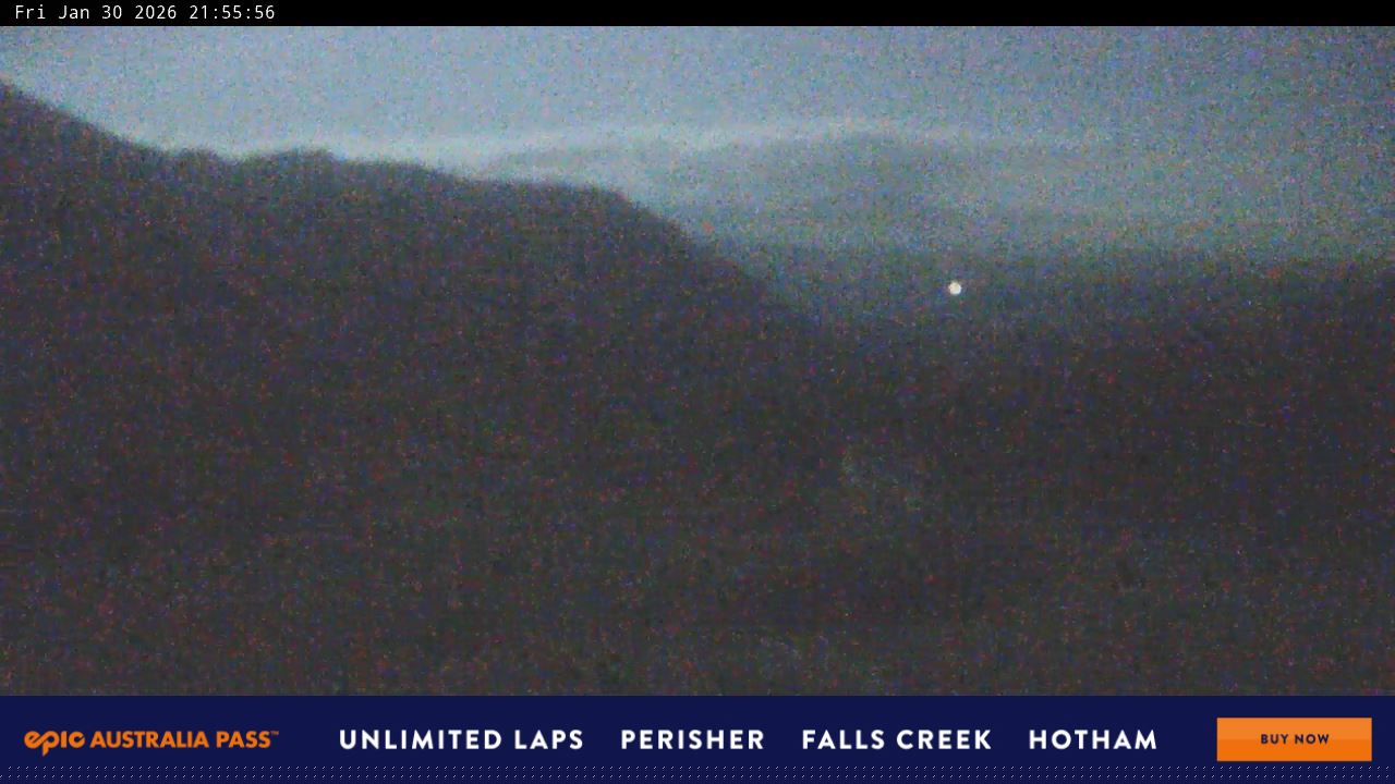 View full-screen Blue Cow