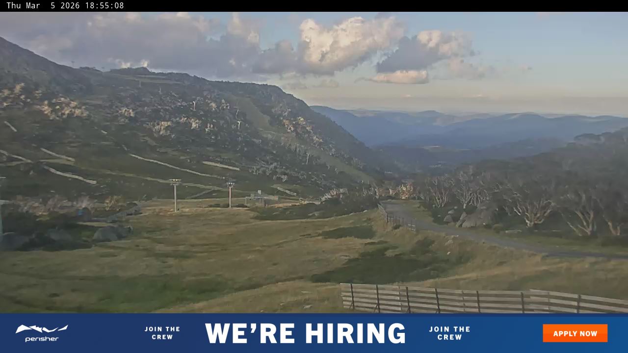 View full-screen Blue Cow