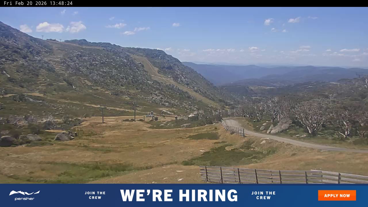 View full-screen Blue Cow