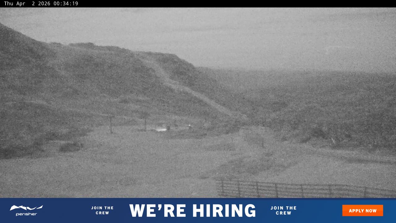 View full-screen Blue Cow