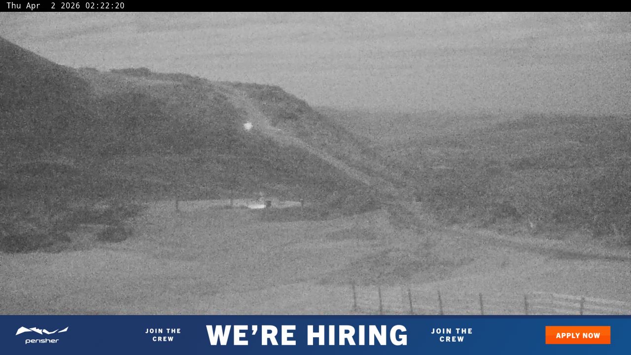 View full-screen Blue Cow