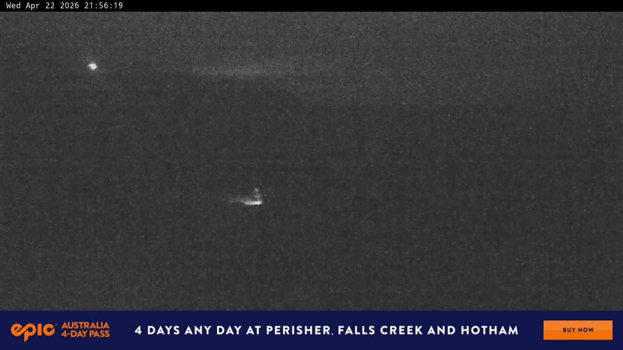 View full-screen Blue Cow