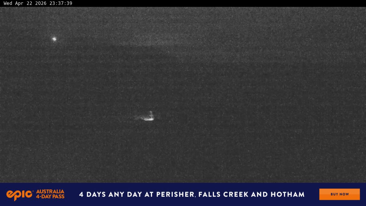 View full-screen Blue Cow