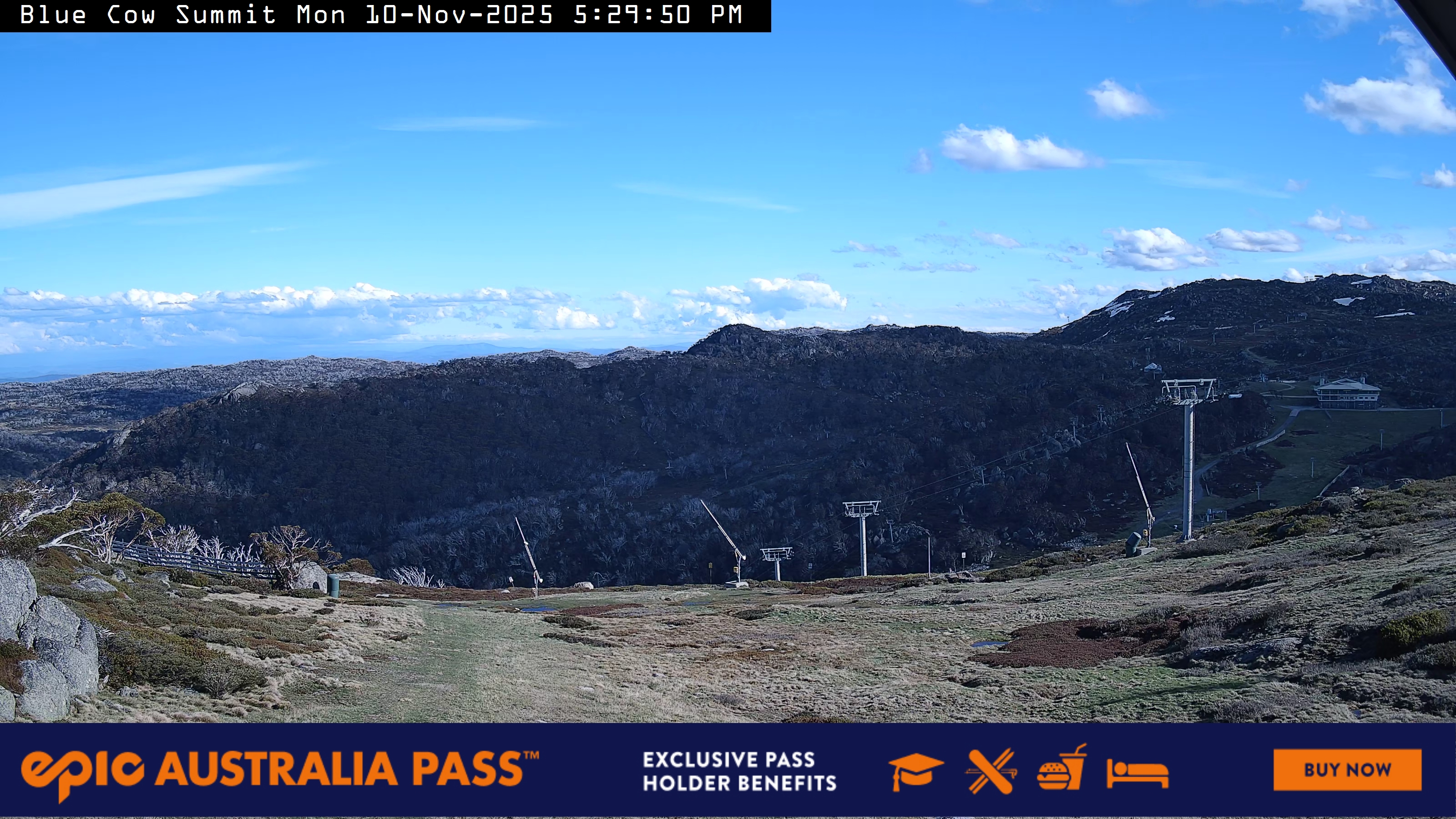 View full-screen Blue Cow Summit