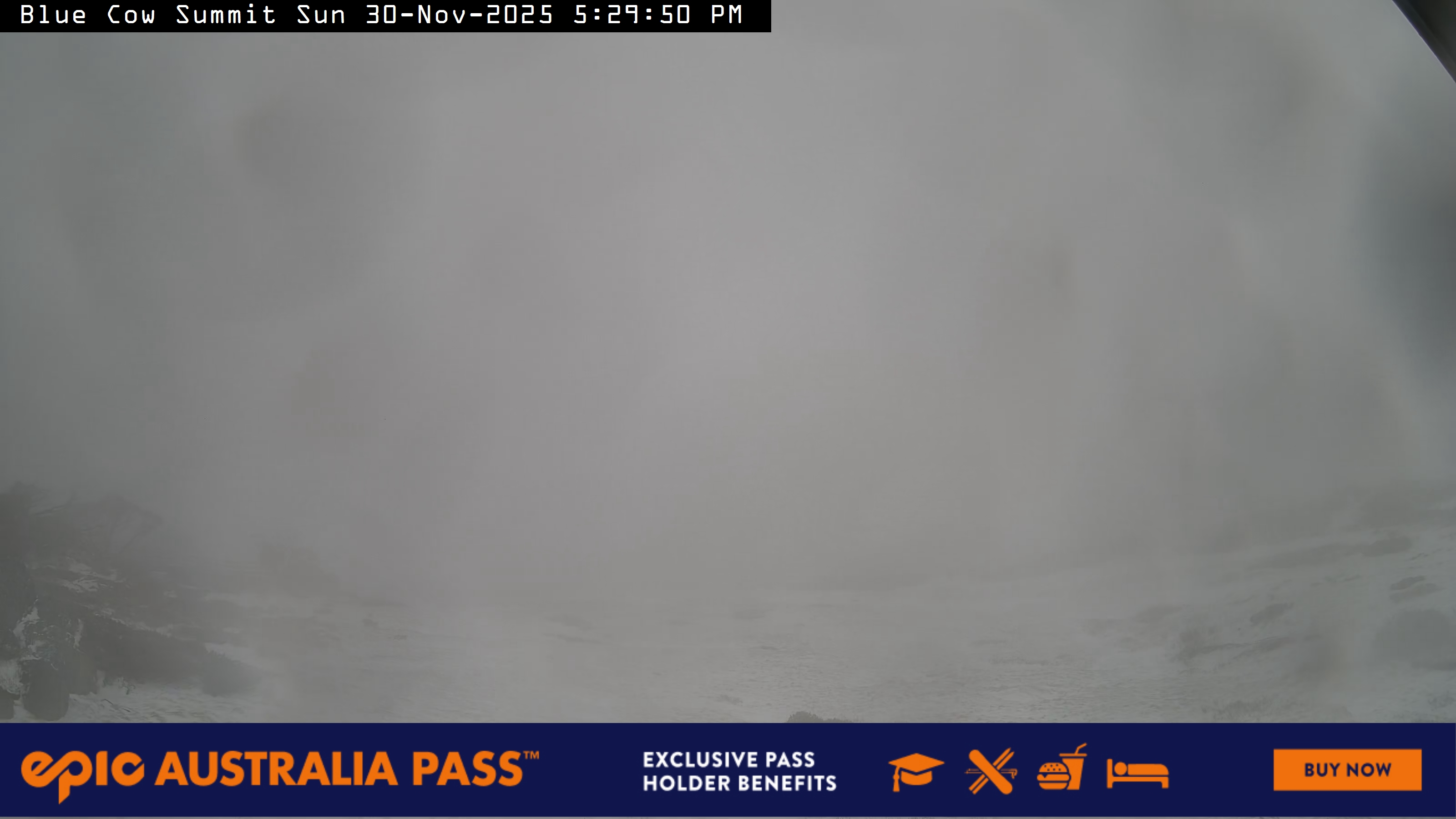 View full-screen Blue Cow Summit