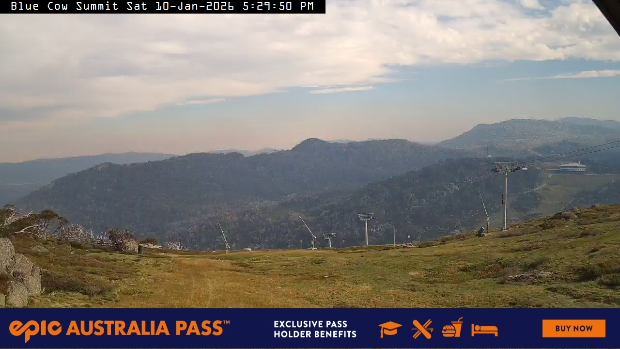 View full-screen Blue Cow Summit