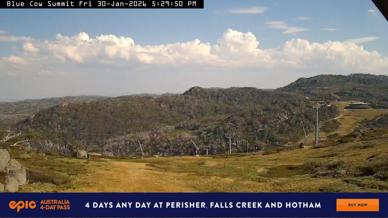 View full-screen Blue Cow Summit