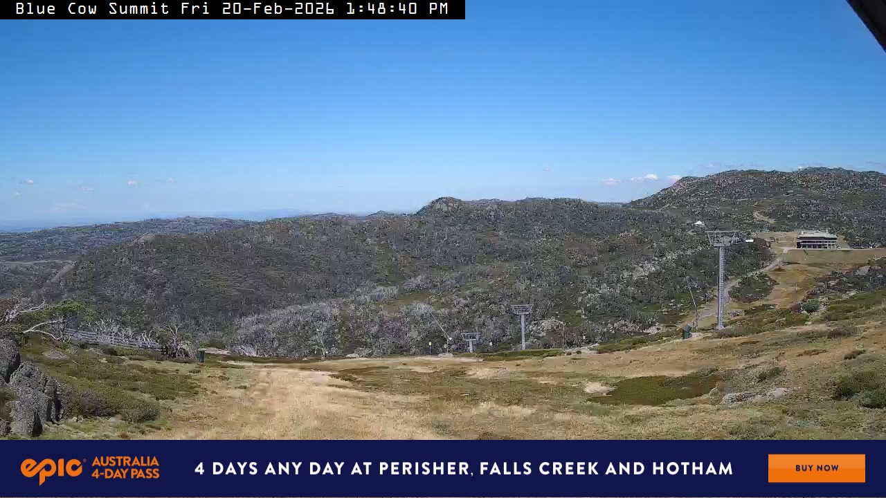 View full-screen Blue Cow Summit