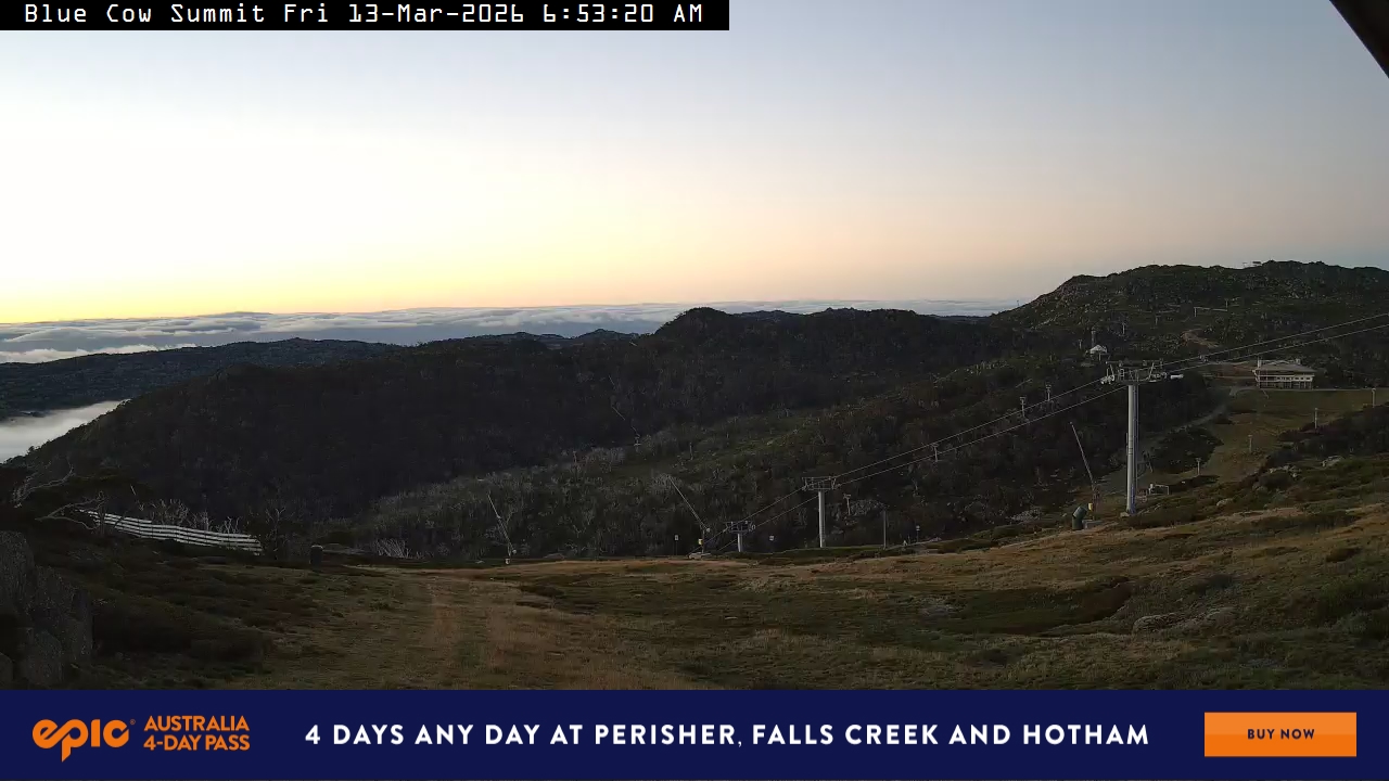 View full-screen Blue Cow Summit