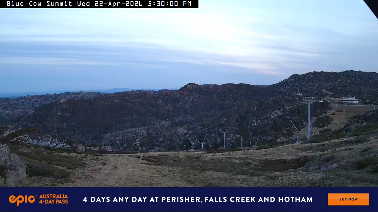 View full-screen Blue Cow Summit