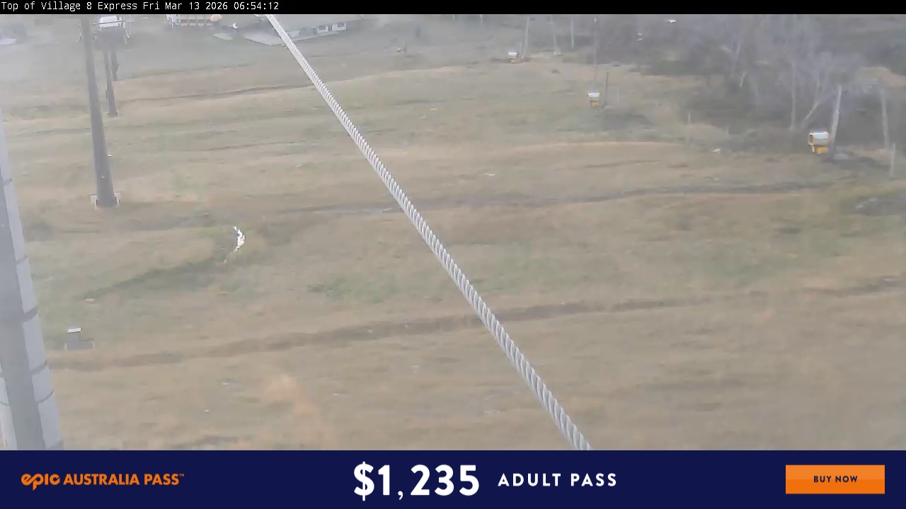 View full-screen Village Eight